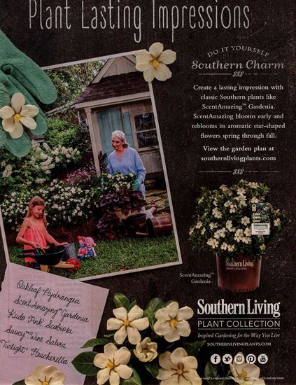 Picture of Southern Living